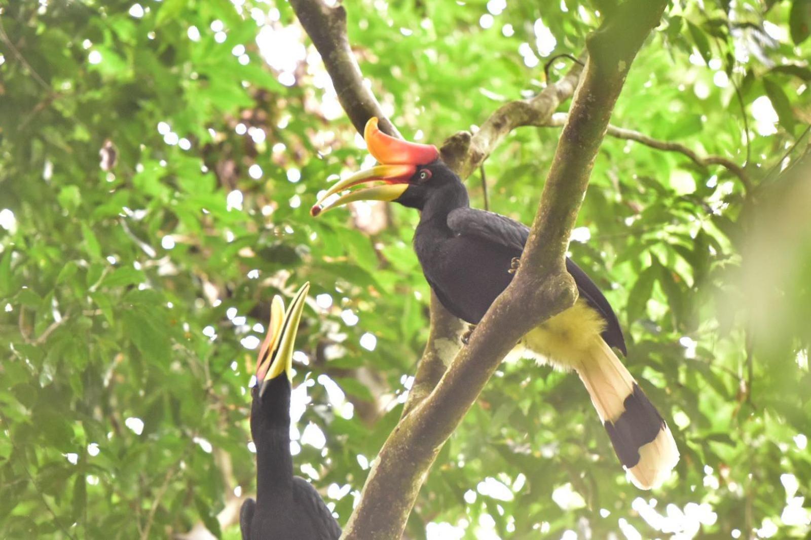 R5 Keramba Inn Bukit Lawang Kültér fotó